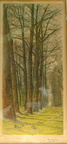 Chemin forestier avec lapins - version gravée sur 4 couleurs